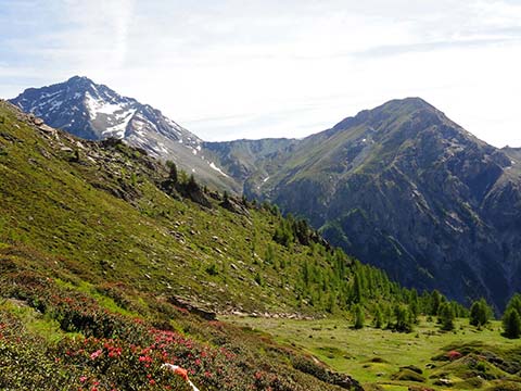 Parco Naturale Val Troncea © Comune Pragelato